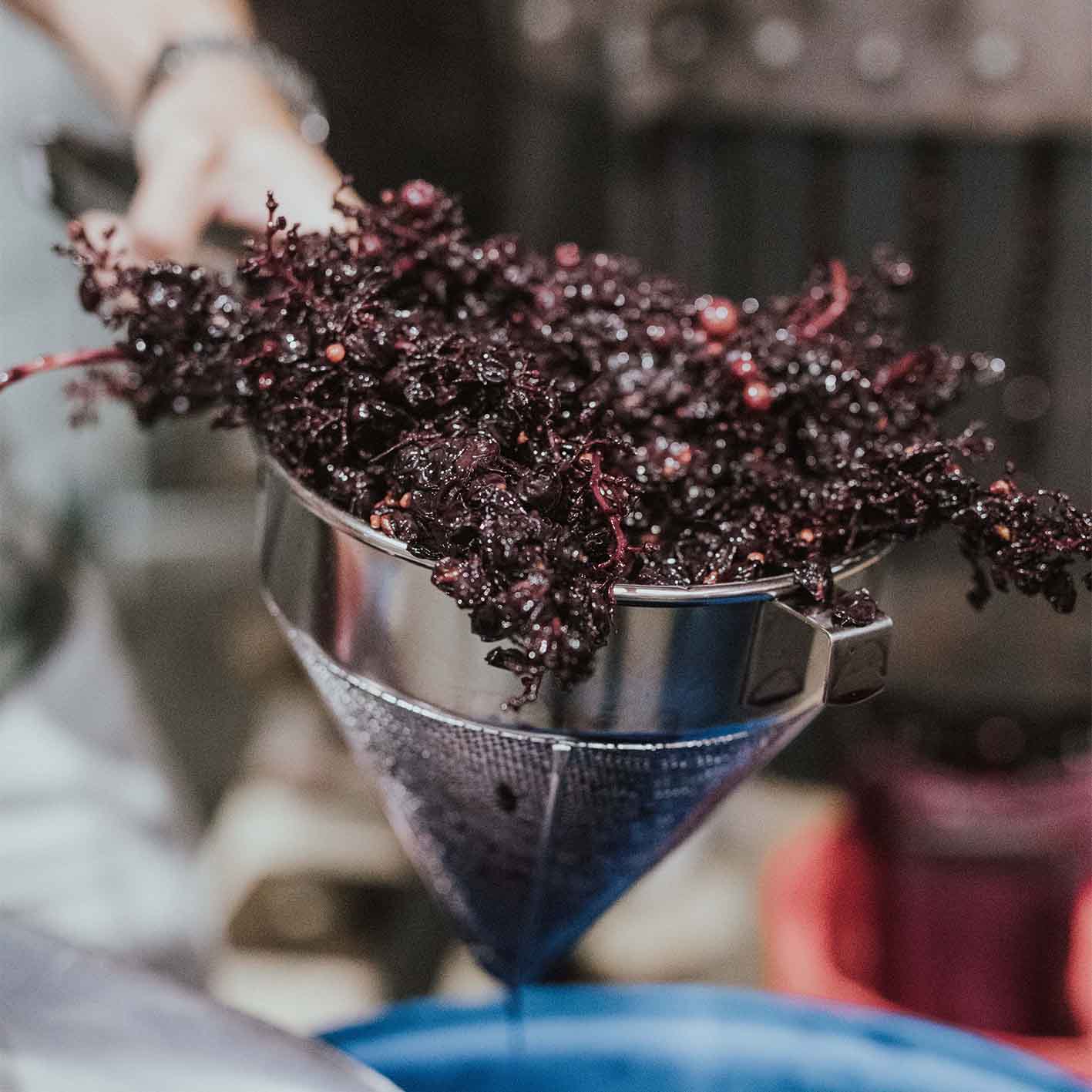 Tempranillo Gin - 24' Winter Release